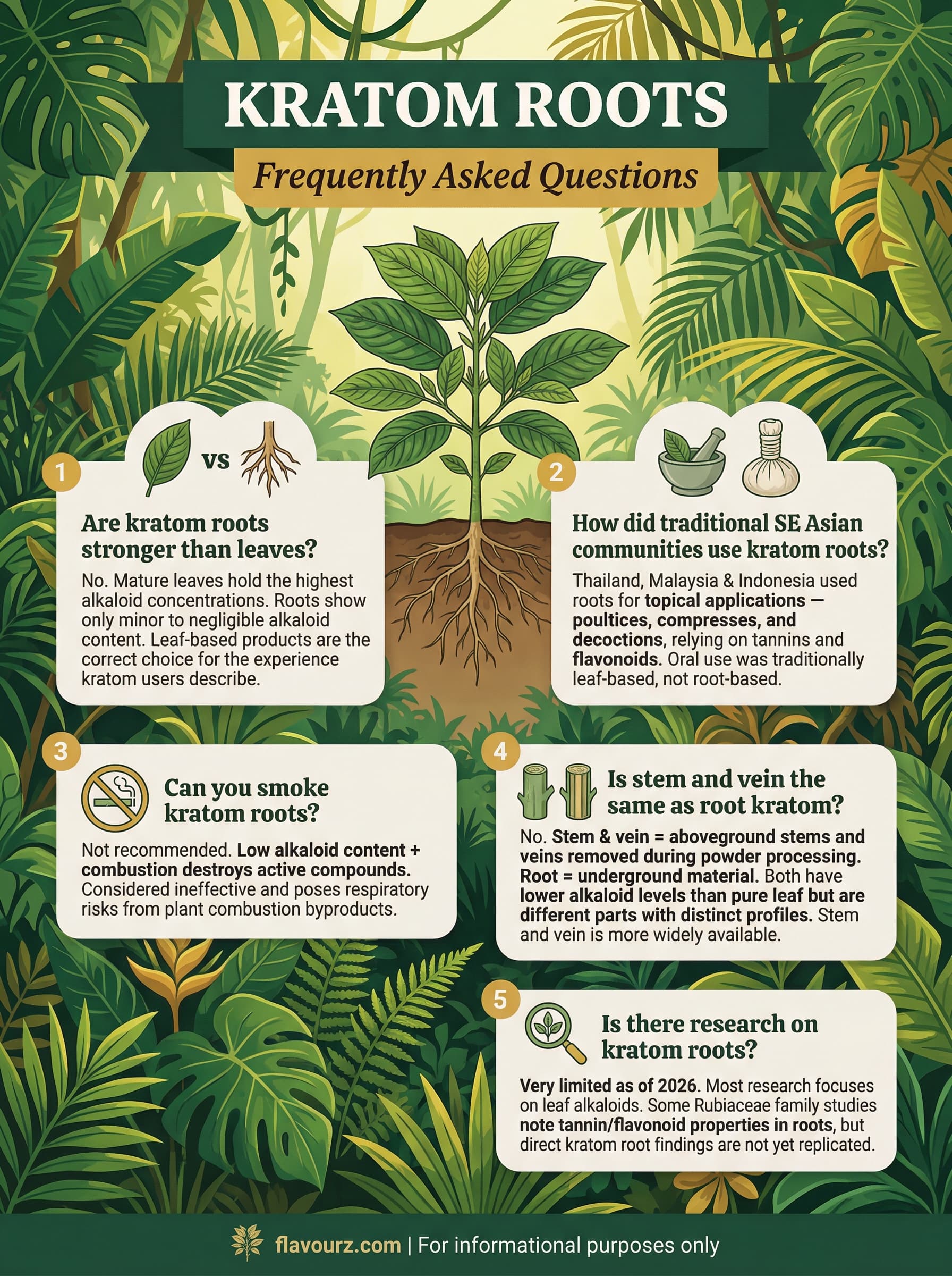 infographic for Kratom Roots Uses, Benefits & Where to Buy (2026) Frequently Asked Questions